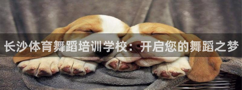 极悦娱乐公司最新招聘信息：长沙体育舞蹈培训学校：开启