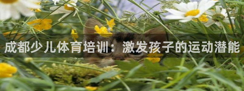 极悦娱乐登录拒绝访问怎么办理：成都少儿体育培训：激发