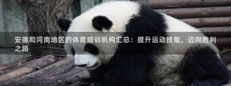 极悦平台官方网站下载：安徽和河南地区的体育培训机构汇