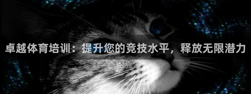 极悦平台官方网站登录不了：卓越体育培训：提升您的竞技