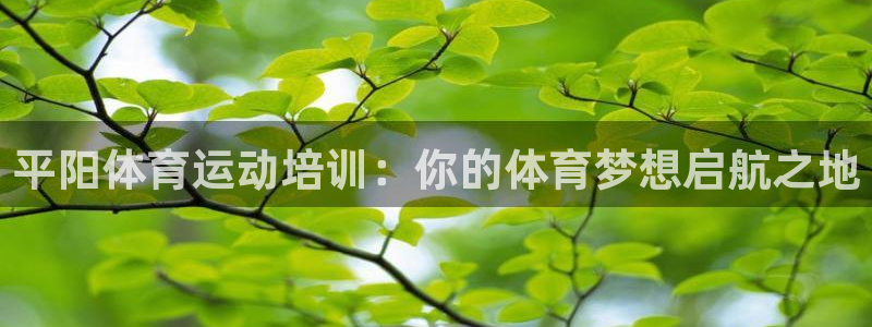 极悦平台注册和登录页面：平阳体育运动培训：你的体育梦
