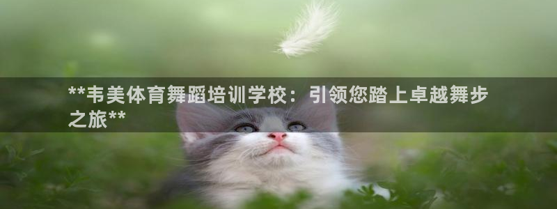 极悦娱乐的最新版本更新内容：**韦美体育舞蹈培训学校