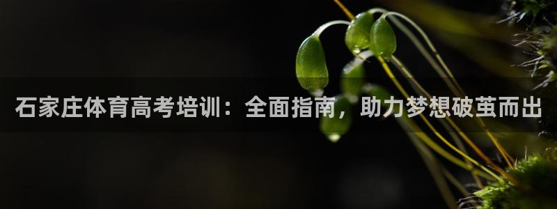 极悦娱乐股东名单：石家庄体育高考培训：全面指南，助力