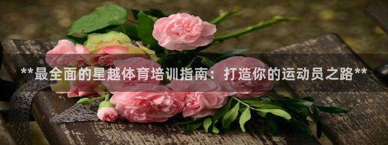 极悦官方网站app下载软件：**最全面的星越体育培训