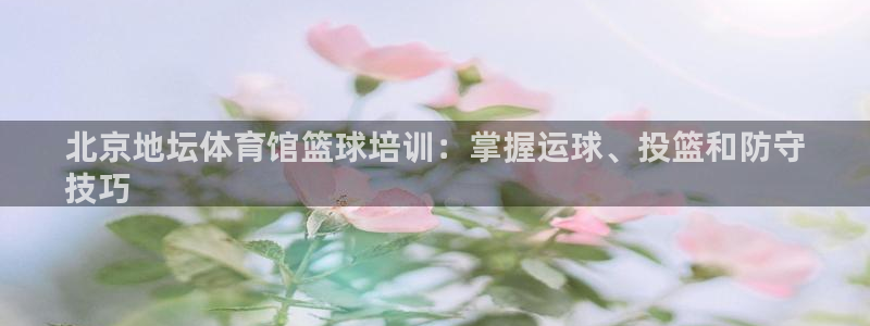 舒客极悦牙膏：北京地坛体育馆篮球培训：掌握运球、投篮