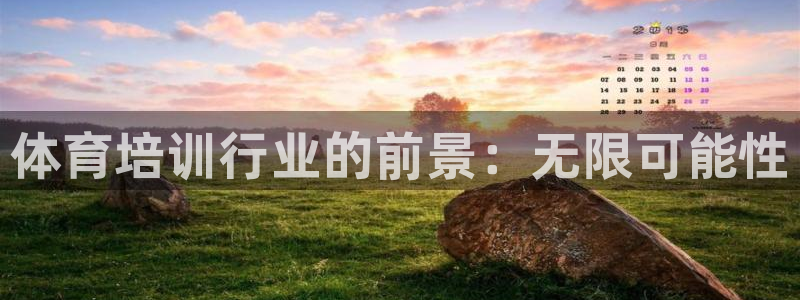 极悦平台与网易合作详情在哪：体育培训行业的前景：无限