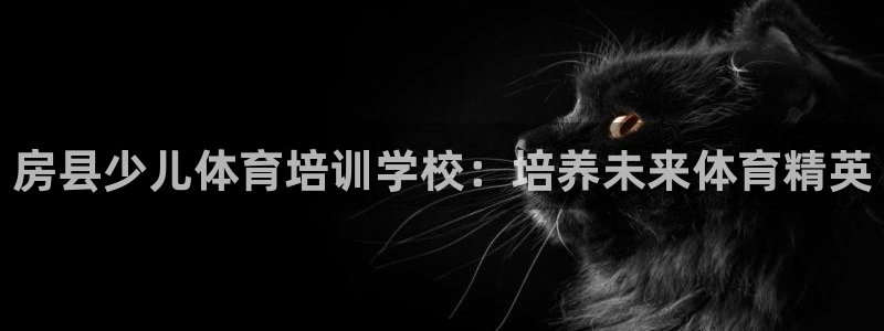 极悦平台app安全吗是真的吗：房县少儿体育培训学校：