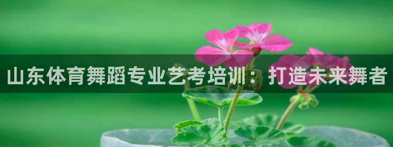 极悦平台是干嘛的公司：山东体育舞蹈专业艺考培训：打造