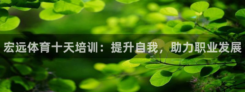 极悦娱乐最新版本更新内容介绍：宏远体育十天培训：提升