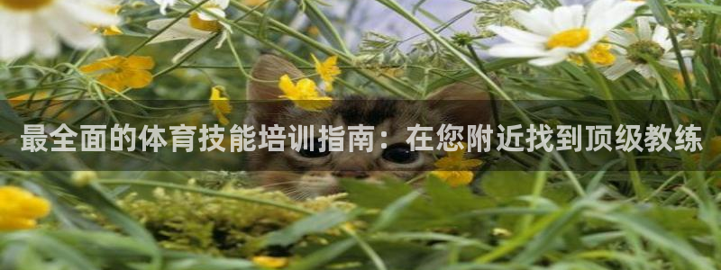 极悦平台官网入口网站：最全面的体育技能培训指南：在您