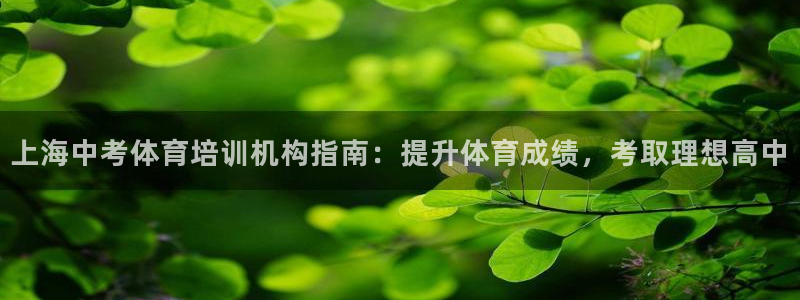 极悦官网首页登录入口：上海中考体育培训机构指南：提升