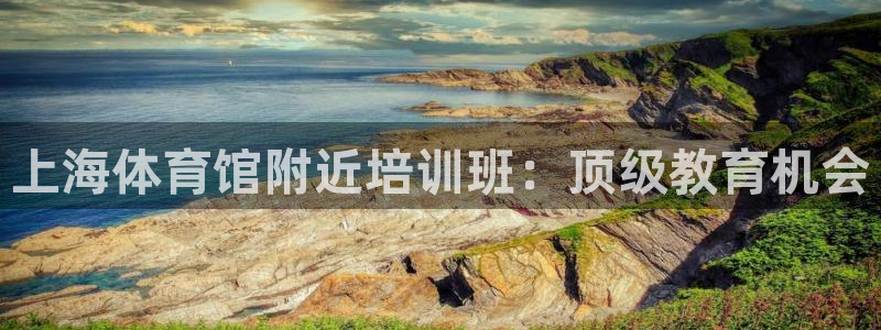 极悦平台注册用户名生成器下载：上海体育馆附近培训班：