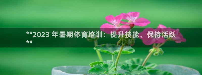 极悦娱乐部7O777：**2023 年暑期体育培训：