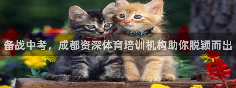 极悦平台注册的弊端及解决方法：备战中考，成都资深体育