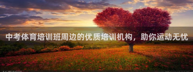极悦平台注册申请流程详解视频：中考体育培训班周边的优