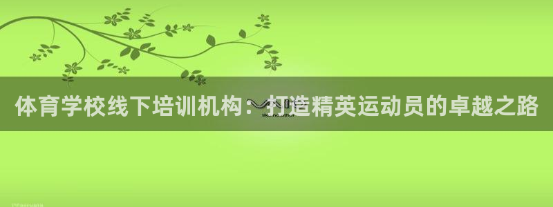 极悦平台是干嘛的啊：体育学校线下培训机构：打造精英运