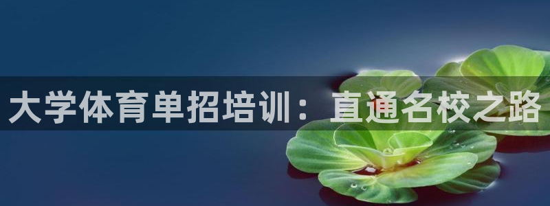 极悦平台是干什么的公司：大学体育单招培训：直通名校之