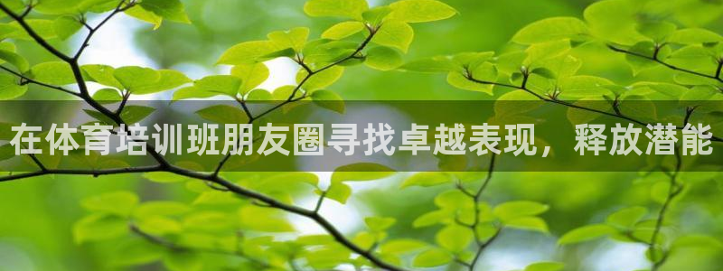 极悦娱乐成7O777：在体育培训班朋友圈寻找卓越表现