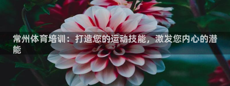 极悦平台官方网站入口网址：常州体育培训：打造您的运动