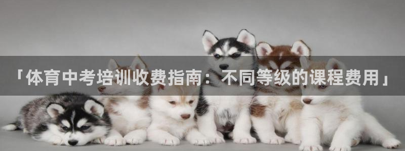 极悦平台是干嘛的：「体育中考培训收费指南：不同等级的