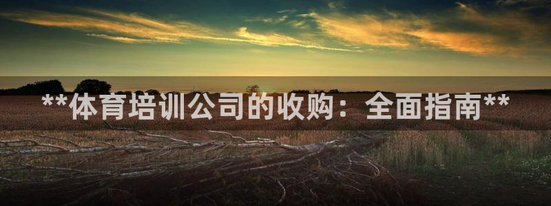 极悦官方网站入口网址：**体育培训公司的收购：全面指
