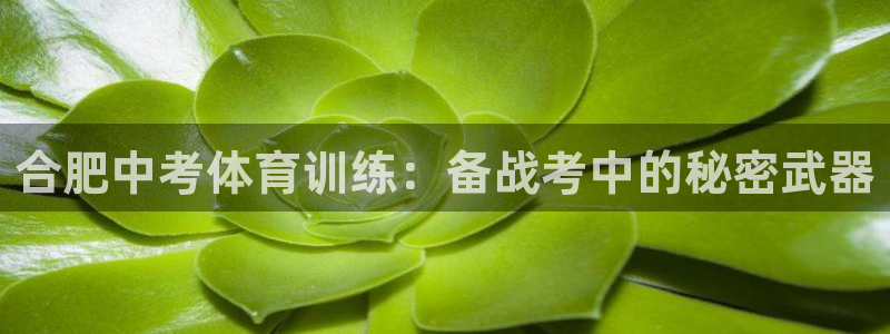 极悦官网登录入口网址：合肥中考体育训练：备战考中的秘