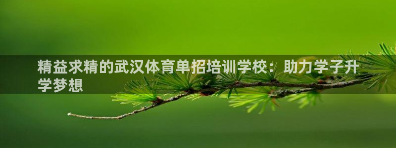 极悦娱乐德711.112扣费说明：精益求精的武汉体育