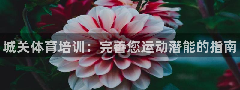 极悦娱乐官方网站入口：城关体育培训：完善您运动潜能的