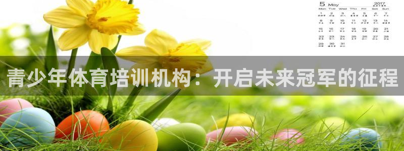 极悦娱乐代理：青少年体育培训机构：开启未来冠军的征程