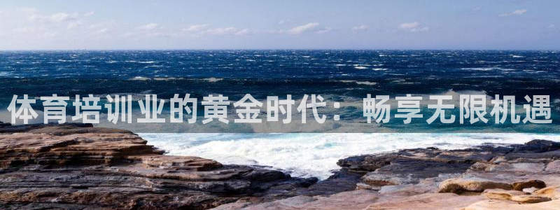 极悦平台官方网站登录网址：体育培训业的黄金时代：畅享