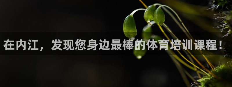 极悦平台登录7.0.2.4手机版下载安卓：在内江，发