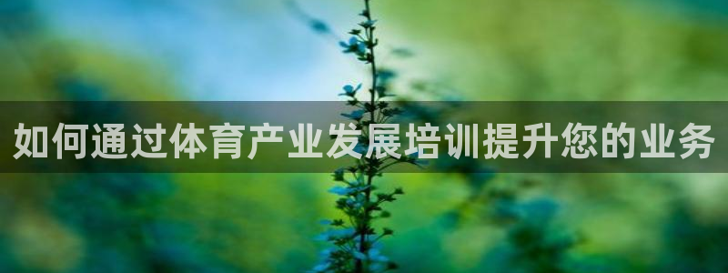 极悦娱乐app官方版本更新内容是什么：如何通过体育产