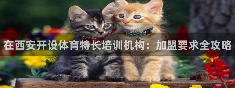 极悦官网的登录方法有哪些：在西安开设体育特长培训机构