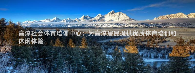 极悦生活家是什么平台的软件：高淳社会体育培训中心：为