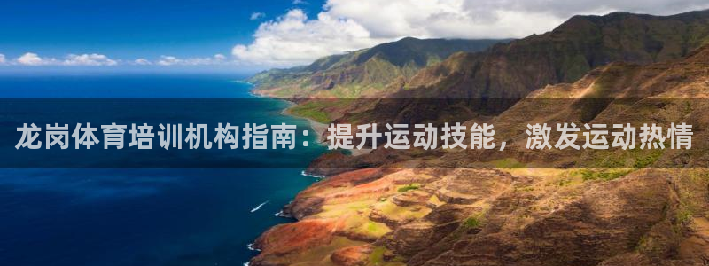 极悦平台注册流程详解图片：龙岗体育培训机构指南：提升