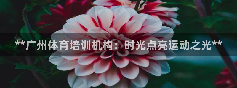 极悦娱乐贴吧最新消息：**广州体育培训机构：时光点亮