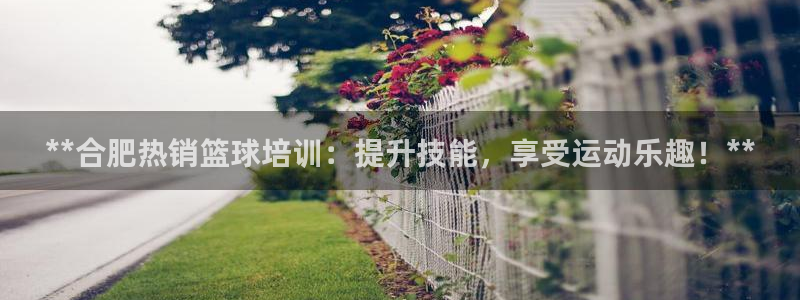 极悦平台官方网站入口链接下载：**合肥热销篮球培训：