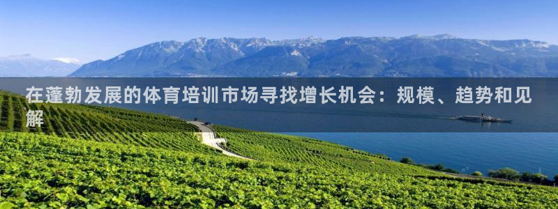 极悦平台官网登录入口下载：在蓬勃发展的体育培训市场寻