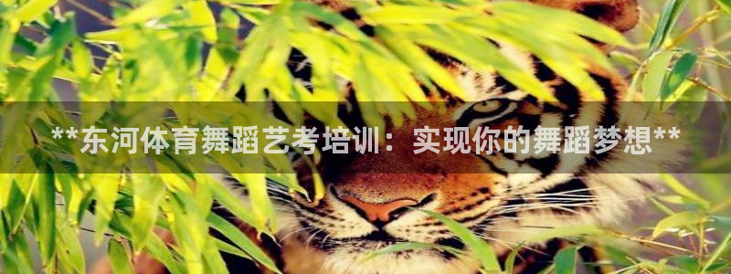 极悦平台注册登录：**东河体育舞蹈艺考培训：实现你的