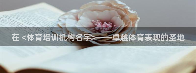 极悦平台代理怎么赚钱：在 <体育培训机构名字>——卓