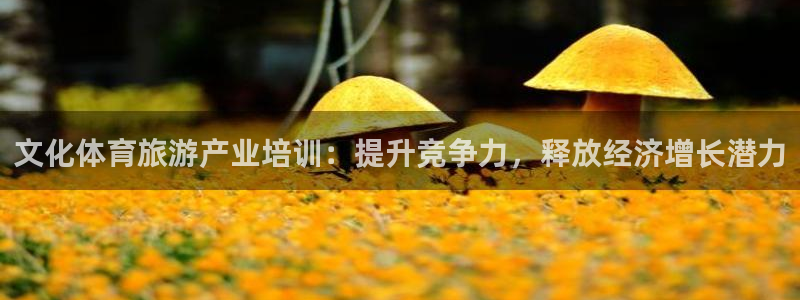 极悦官方网站app下载安卓：文化体育旅游产业培训：提