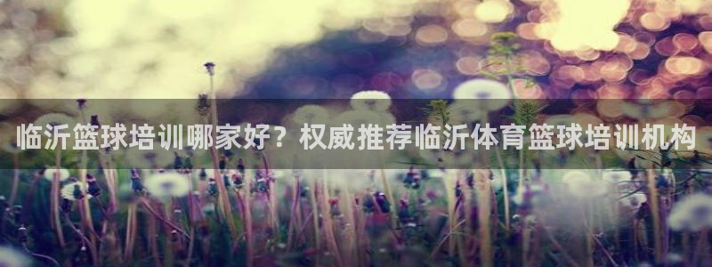 极悦平台注册官网网址：临沂篮球培训哪家好？权威推荐临
