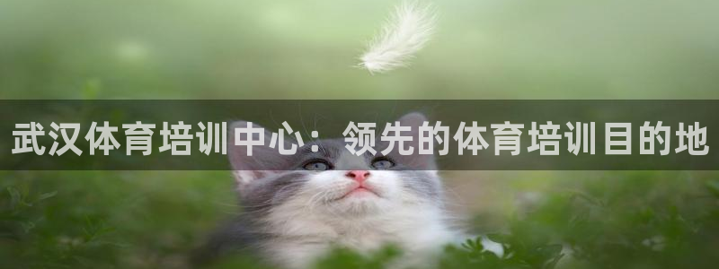 极悦平台官方网站入口链接手机：武汉体育培训中心：领先