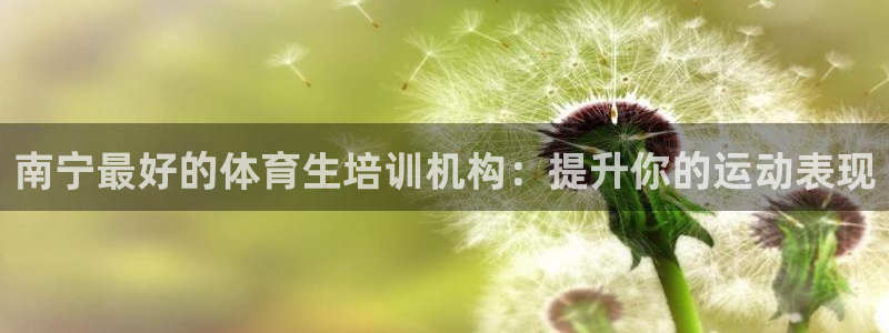 极悦平台登录不进去怎么回事儿：南宁最好的体育生培训机