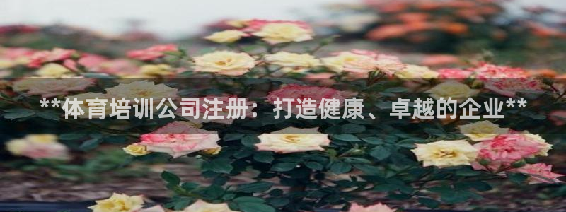 极悦平台使用教程图解：**体育培训公司注册：打造健康