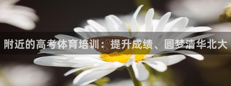 极悦平台代理怎么赚钱：附近的高考体育培训：提升成绩、