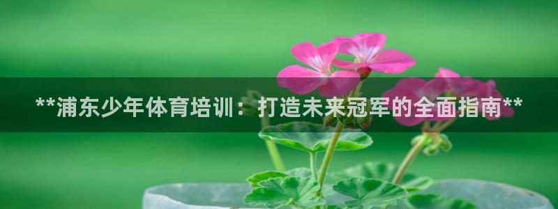 极悦平台官网登录不了怎么办：**浦东少年体育培训：打