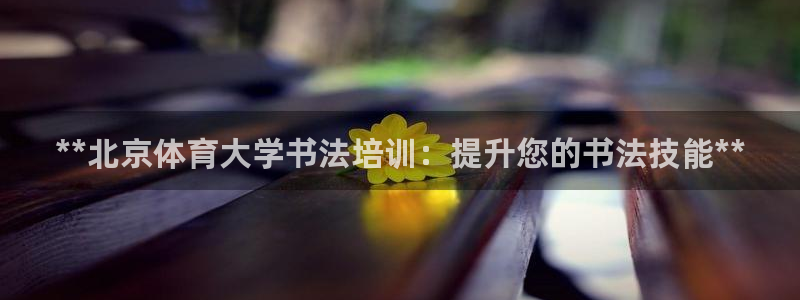 极悦平台官方网站入口链接：**北京体育大学书法培训：