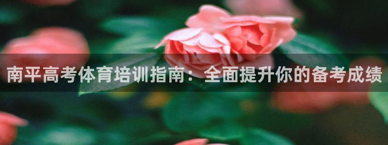 极悦平台保7O777：南平高考体育培训指南：全面提升