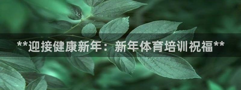 极悦官网的登录方法是什么：**迎接健康新年：新年体育